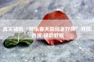 真实辅助“微乐春天如何拿好牌”开挂(透视)辅助教程