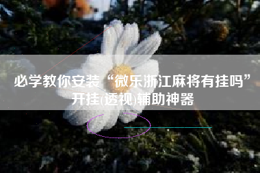 必学教你安装“微乐浙江麻将有挂吗	”开挂(透视)辅助神器