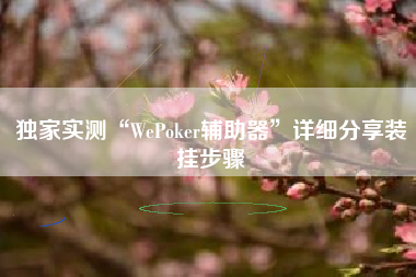 独家实测“WePoker辅助器”详细分享装挂步骤