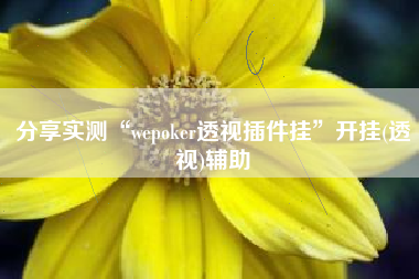 分享实测“wepoker透视插件挂”开挂(透视)辅助