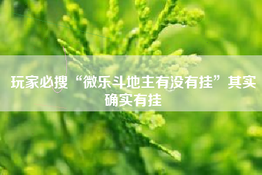 玩家必搜“微乐斗地主有没有挂	”其实确实有挂