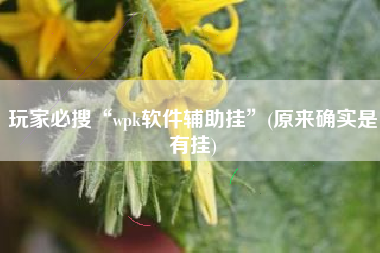玩家必搜“wpk软件辅助挂”(原来确实是有挂)