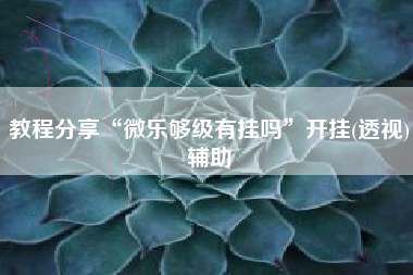 教程分享“微乐够级有挂吗	”开挂(透视)辅助