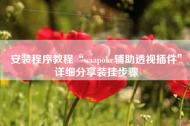 安装程序教程“waapoke辅助透视插件”详细分享装挂步骤