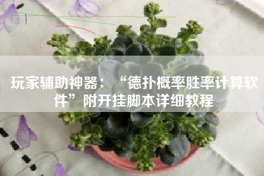 玩家辅助神器：“德扑概率胜率计算软件	”附开挂脚本详细教程