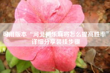 可用版本“河北微乐麻将怎么提高胜率”详细分享装挂步骤