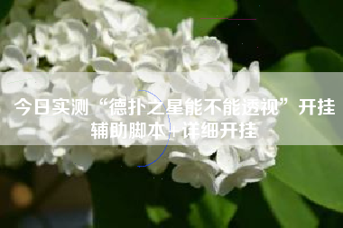 今日实测“德扑之星能不能透视”开挂辅助脚本+详细开挂