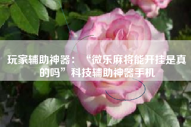 玩家辅助神器：“微乐麻将能开挂是真的吗”科技辅助神器手机