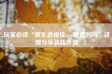 玩家必读“微乐透视挂app是真的吗	”详细分享装挂步骤