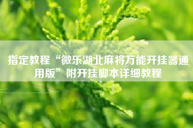 指定教程“微乐湖北麻将万能开挂器通用版”附开挂脚本详细教程