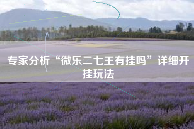 专家分析“微乐二七王有挂吗	”详细开挂玩法