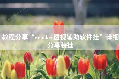 教程分享“wepoker透视辅助软件挂	”详细分享装挂