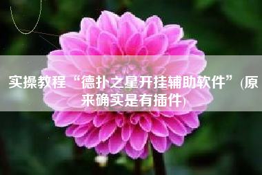 实操教程“德扑之星开挂辅助软件	”(原来确实是有插件)