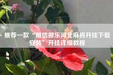推荐一款“微信微乐河北麻将开挂下载安装”开挂详细教程
