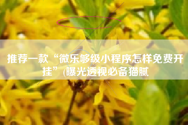 推荐一款“微乐够级小程序怎样免费开挂	”(曝光透视必备猫腻