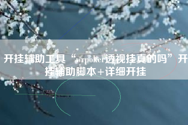 开挂辅助工具“wrpoker透视挂真的吗”开挂辅助脚本+详细开挂