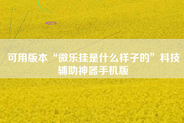 可用版本“微乐挂是什么样子的”科技辅助神器手机版
