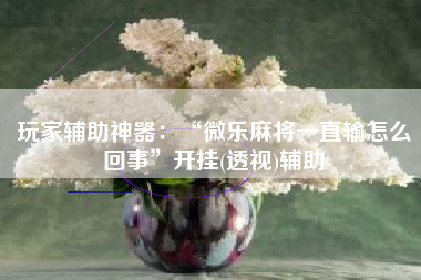 玩家辅助神器：“微乐麻将一直输怎么回事	”开挂(透视)辅助
