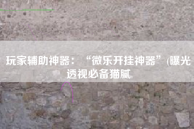 玩家辅助神器：“微乐开挂神器”(曝光透视必备猫腻