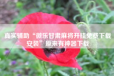 真实辅助“微乐甘肃麻将开挂免费下载安装	”原来有神器下载