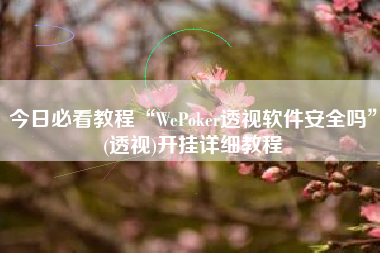 今日必看教程“WePoker透视软件安全吗”(透视)开挂详细教程
