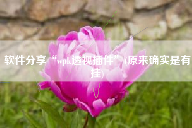 软件分享“wpk透视插件	”(原来确实是有挂)