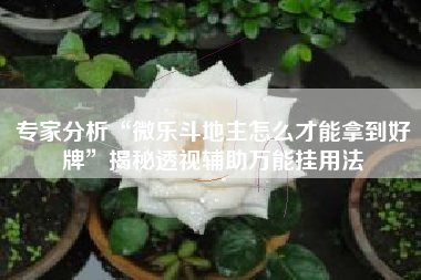 专家分析“微乐斗地主怎么才能拿到好牌”揭秘透视辅助万能挂用法