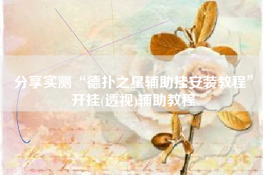 分享实测“德扑之星辅助挂安装教程”开挂(透视)辅助教程