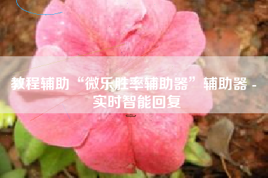 教程辅助“微乐胜率辅助器”辅助器 - 实时智能回复