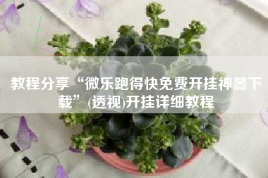 教程分享“微乐跑得快免费开挂神器下载	”(透视)开挂详细教程