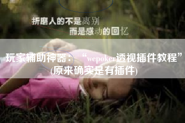 玩家辅助神器：“wepoker透视插件教程	”(原来确实是有插件)