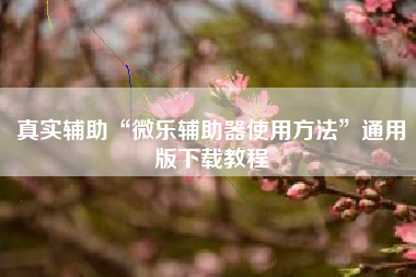 真实辅助“微乐辅助器使用方法	”通用版下载教程