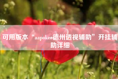 可用版本“aapoker德州透视辅助”开挂辅助详细