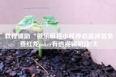 教程辅助“微乐麻将小程序必赢神器免费红龙poker有透视辅助挂(太
