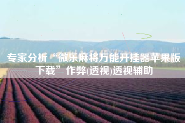 专家分析“微乐麻将万能开挂器苹果版下载”作弊(透视)透视辅助