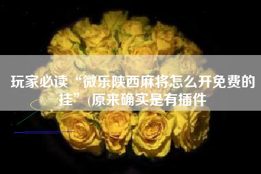 玩家必读“微乐陕西麻将怎么开免费的挂	”(原来确实是有插件