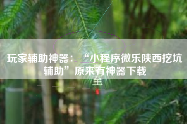 玩家辅助神器：“小程序微乐陕西挖坑辅助”原来有神器下载