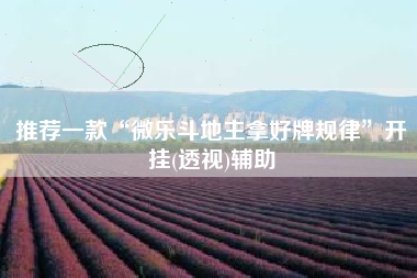 推荐一款“微乐斗地主拿好牌规律	”开挂(透视)辅助