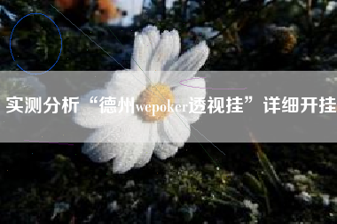 实测分析“德州wepoker透视挂	”详细开挂