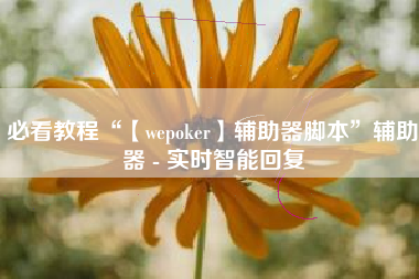 必看教程“【wepoker】辅助器脚本	”辅助器 - 实时智能回复