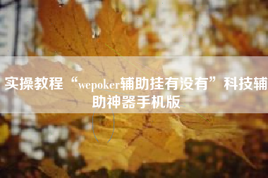 实操教程“wepoker辅助挂有没有”科技辅助神器手机版