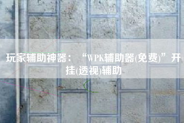 玩家辅助神器：“WPK辅助器(免费)”开挂(透视)辅助