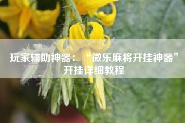 玩家辅助神器：“微乐麻将开挂神器”开挂详细教程