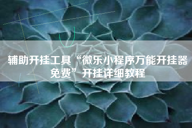 辅助开挂工具“微乐小程序万能开挂器免费”开挂详细教程
