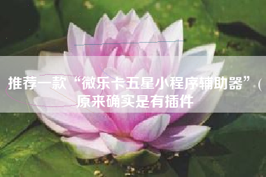 推荐一款“微乐卡五星小程序辅助器	”(原来确实是有插件