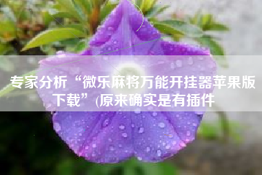 专家分析“微乐麻将万能开挂器苹果版下载”(原来确实是有插件