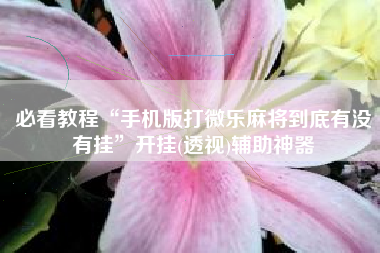 必看教程“手机版打微乐麻将到底有没有挂	”开挂(透视)辅助神器