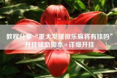 教程分享“重大发现微乐麻将有挂吗”开挂辅助脚本+详细开挂