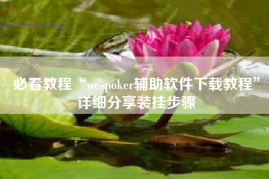 必看教程“we-poker辅助软件下载教程”详细分享装挂步骤