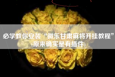 必学教你安装“微乐甘肃麻将开挂教程”(原来确实是有插件)